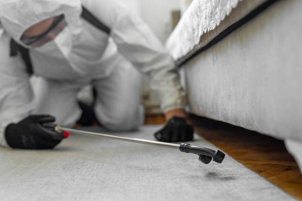 Professional Bed Bug Control technician working in North Canton, OH